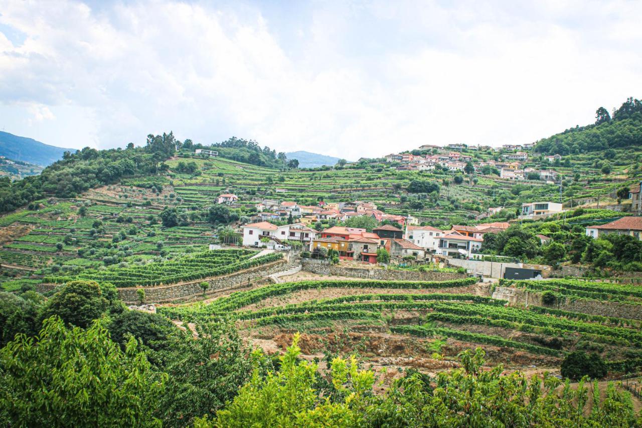 Casa Avos D'Ouro - Barqueiros, Mesao Frio, Douro Villa ภายนอก รูปภาพ