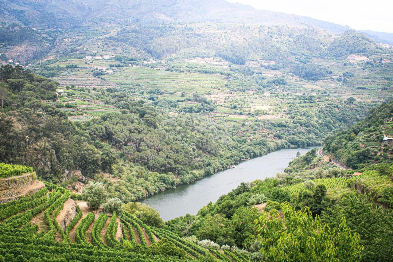 Casa Avos D'Ouro - Barqueiros, Mesao Frio, Douro Villa ภายนอก รูปภาพ